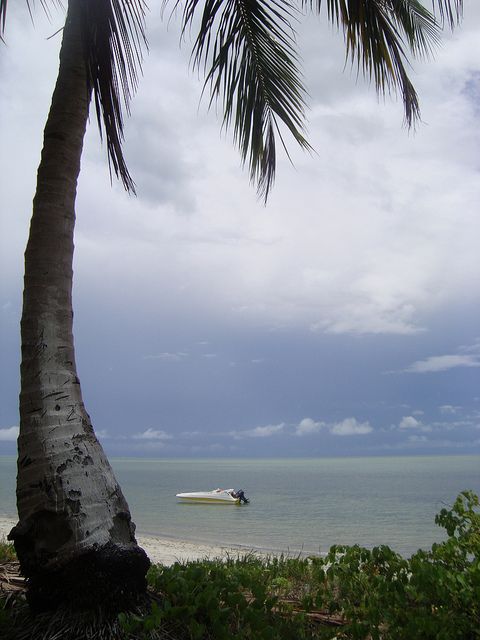 Colonial North Coast beaches - Full-Day Tour - Birdwatching at Coroa do Avião Sandbar