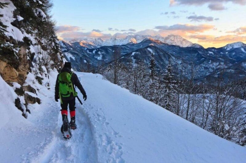 Colorado Backcountry: Guided Snowshoe Tour - Explore Colorado’s Serene Backcountry on a Guided Snowshoe Tour for $99