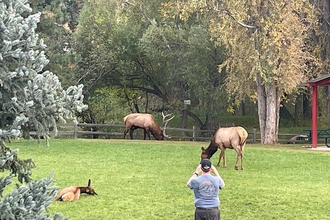 Colorado Green Friendly Mountain Sunset Tour from Denver - Relaxing at The Golden Mill