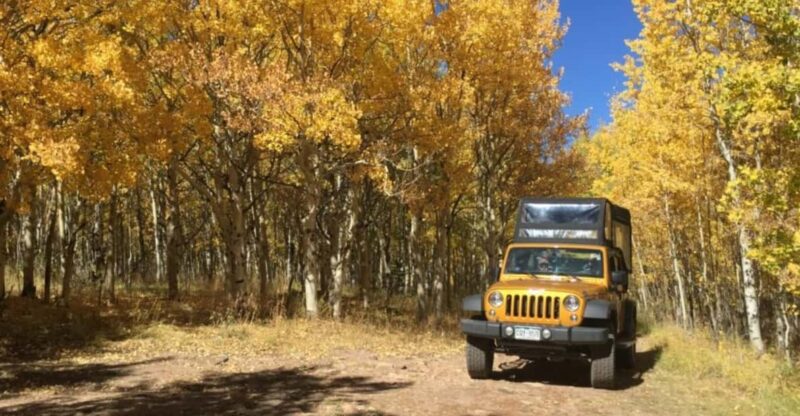 Colorado Jeep Tours - Gold Belt Tour - Dinosaur Fossil Sites and Prehistoric Discoveries
