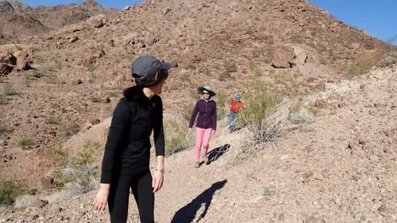 Colorado River: Black Canyon South Bound Paddle Kayak Tour - Relaxing on a Private Beach with Snacks and Swimming Opportunities