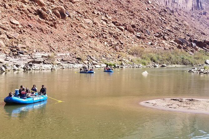 Colorado River Rafting: Afternoon Half-Day at Fisher Towers - Wildlife Watching and Birding Opportunities