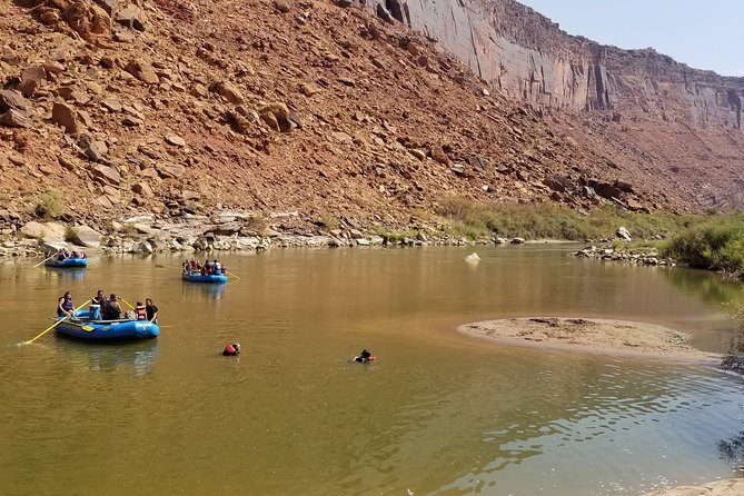 Colorado River Rafting: Half-Day Morning at Fisher Towers - Wildlife Sightings and Natural Features
