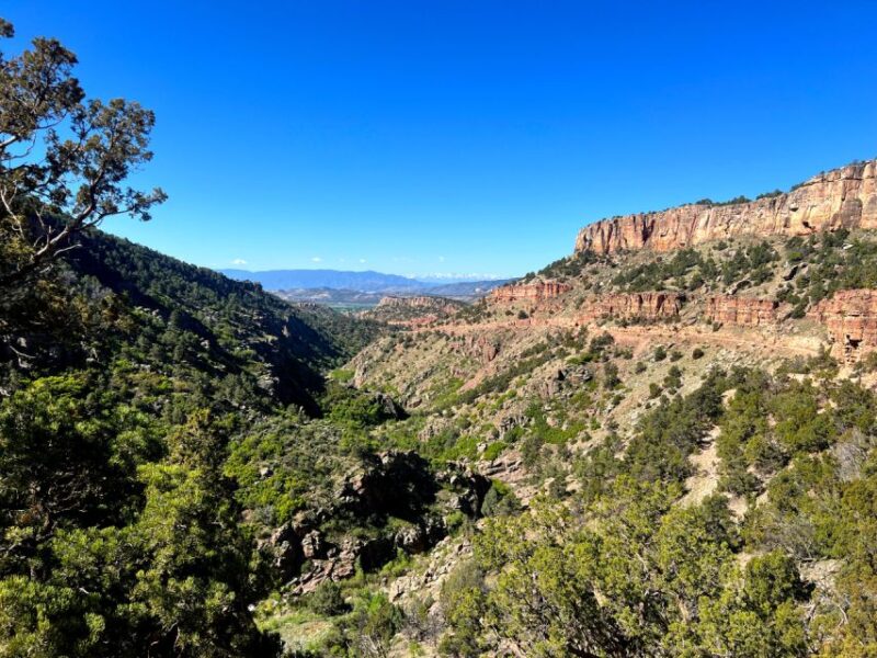 Colorado Springs: Cripple Creek Backcountry Jeep Tour - Conquering Shelf Road’s Rugged Terrain and Views
