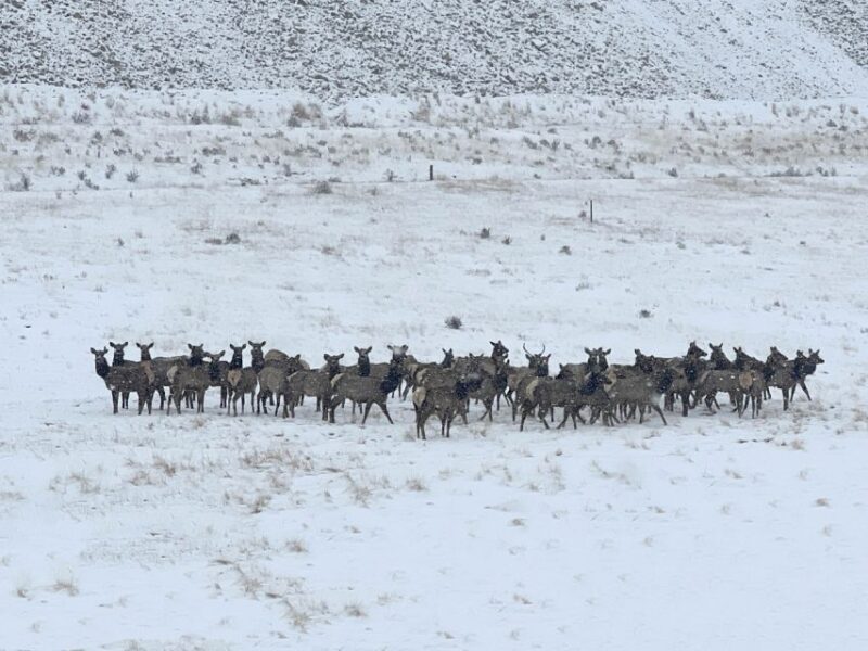 Colorado Springs: Cripple Creek Backcountry Jeep Tour - Small Group Experience with Passionate Guides