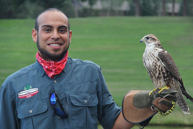 Colorado Springs Hands-On Falconry Class and Demonstration - Meet the Expert Falconer Behind the Experience