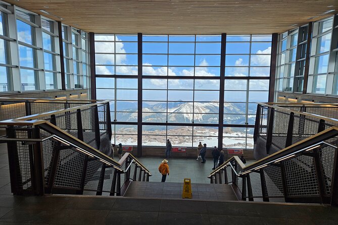Colorado Springs Pikes Peak Luxury Jeep Tours - Wildlife Viewing and Natural Encounters