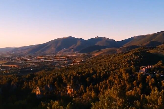 Colorful Tagliatelle & Walnut Ravioli  Home Cooking in Spoleto - Discover the Charm of Home Cooking in Spoleto’s Countryside