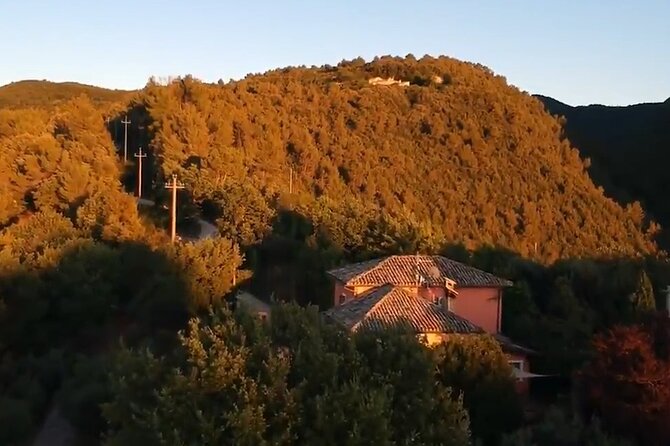 Colorful Tagliatelle & Walnut Ravioli  Home Cooking in Spoleto - Additional Details and Practical Information