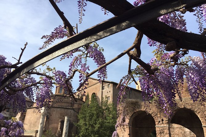 Colosseum and Ancient Rome - private tour - Practical Information for a Smooth Experience