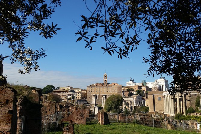 Colosseum and Roman Forum Private Tour led by an archaeologist - The Expertise and Style of the Guide: Francesca