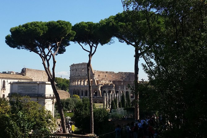 Colosseum and Roman Forum Private Tour led by an archaeologist - The Experience of Visiting with a Professional Archaeologist