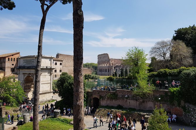 Colosseum Arena Floor, Roman Forum and Palatine Hill Guided Tour - The Experience of Standing on the Arena Floor