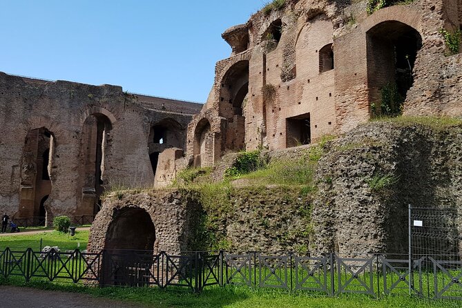 Colosseum Arena Floor Roman Forum and Palatine Hill Live Guide - Cost and Value for Money