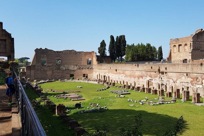 Colosseum Arena Floor Roman Forum and Palatine Hill Live Guide - Review Highlights and Customer Feedback