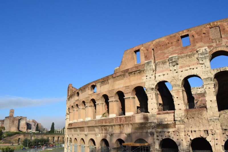 Colosseum Express Tour with Local Guide - Stories of Gladiators, Animals, and Roman Spectacles