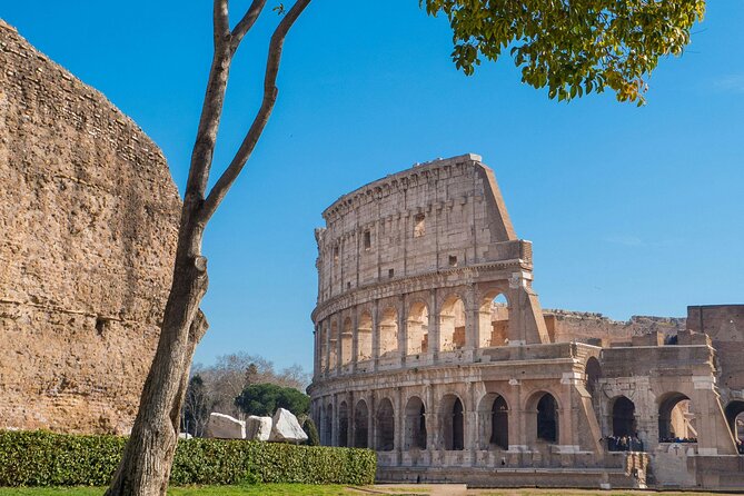 Colosseum Guided Tour and Ancient Rome - Walking the Ancient Streets of the Roman Forum