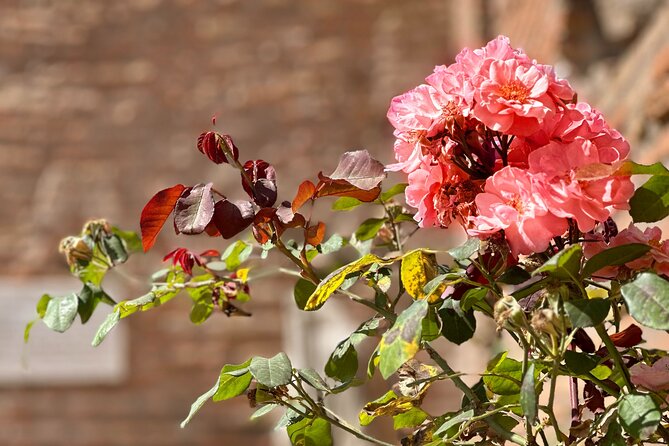 Colosseum Guided Tour with Roman Forum & Palatine Hill - Comparing This Tour to Similar Experiences