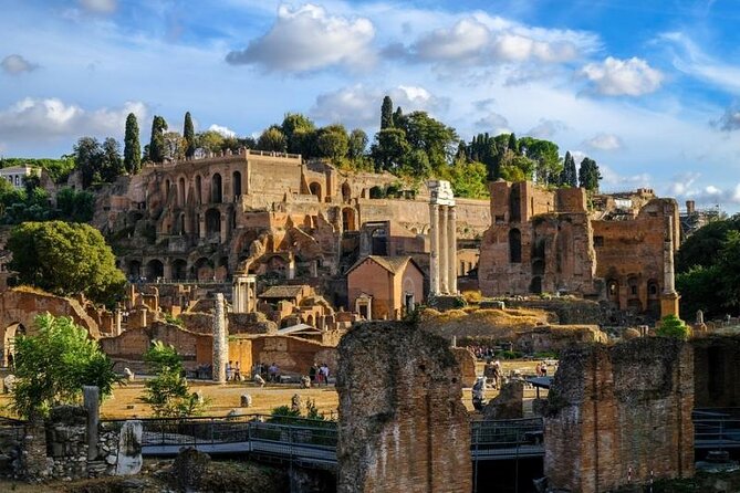 Colosseum, Palatine hill and Roman forum Access - Overall Value and Suitability