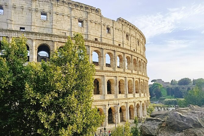Colosseum, Palatine Hill and Roman Forum Guided Tour - Tour Options: Guided, Self-Guided, and VIP