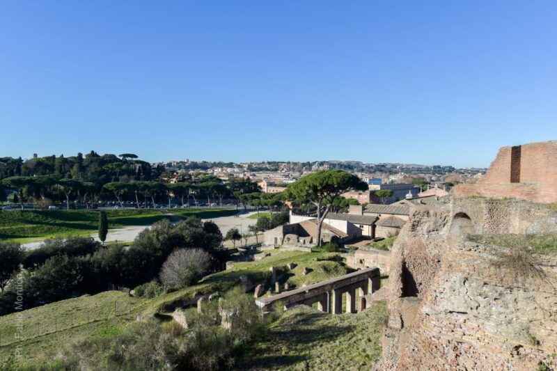 Colosseum, Palatine Hill and Roman Forum Guided Tour - Strolling Through the Roman Forum, Heart of Ancient Rome