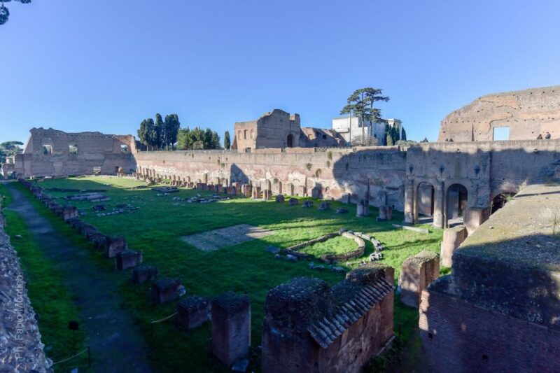 Colosseum, Palatine Hill and Roman Forum Guided Tour - Comparing This Tour to Similar Options