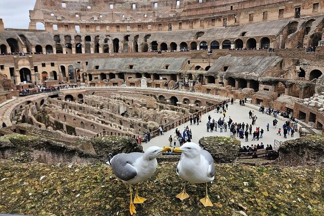Colosseum, Roman Forum, and Palatine Hill Access with Audio Guide - Palatine Hill: Overlooking the Roman Skyline