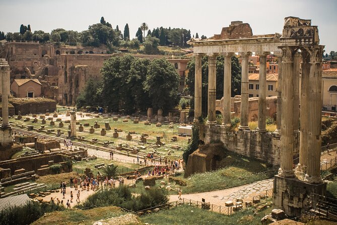 Colosseum, Roman Forum and Palatine Hill Fully Guided Tour - Physical Requirements and Accessibility