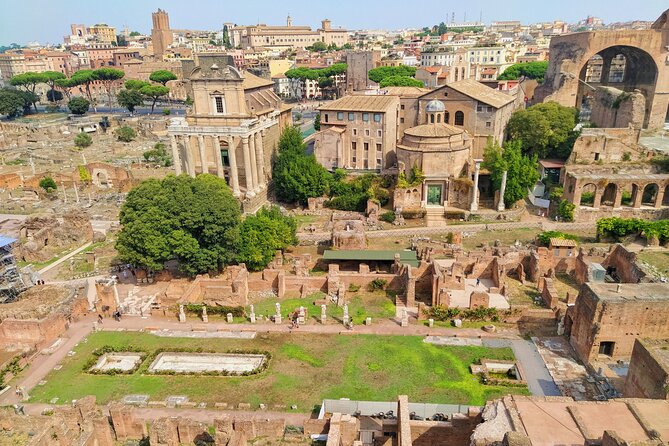 Colosseum, Roman Forum and Palatine Hill Guided tour - The Colosseum: Rome’s Iconic Amphitheatre