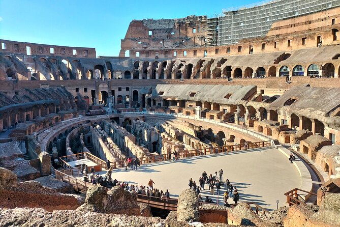 Colosseum, Roman Forum and Palatine Hill Guided Walking Tour - Practical Details: Meeting Point and Group Size