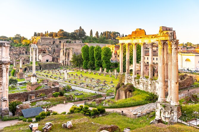 Colosseum, Roman Forum and Palatine Hill Guided Walking Tour - The Experience of the Tour Guides