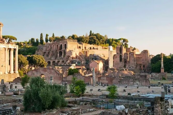 Colosseum Roman Forum and Palatine Hill Tour 2 Hours - Accessibility and Physical Requirements