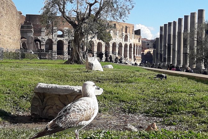 Colosseum, Roman Forum, Palatine - Exclusive Private Tour - Easy Booking with a Clear Meeting Point in Rome
