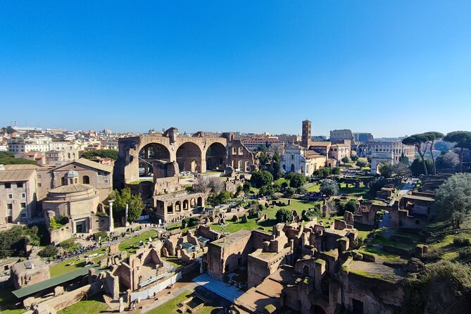 Colosseum, Roman Forum & Palatine Hill - Group Tour - The Experience with Guides: Knowledge and Personal Touch