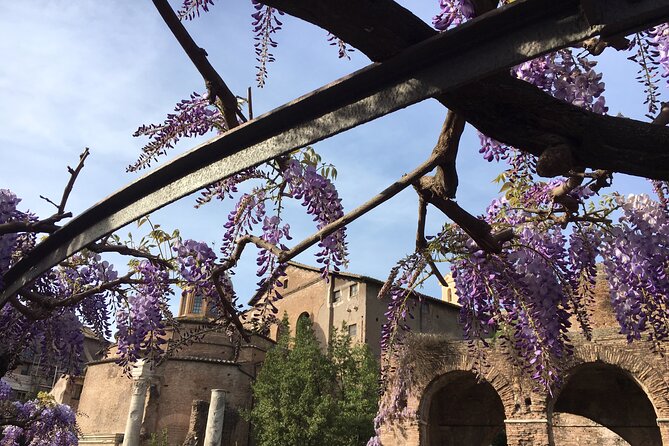 Colosseum with Arena Floor, Roman Forum and Palatine Hill - Private Tour - Meeting Point and End Location Convenience