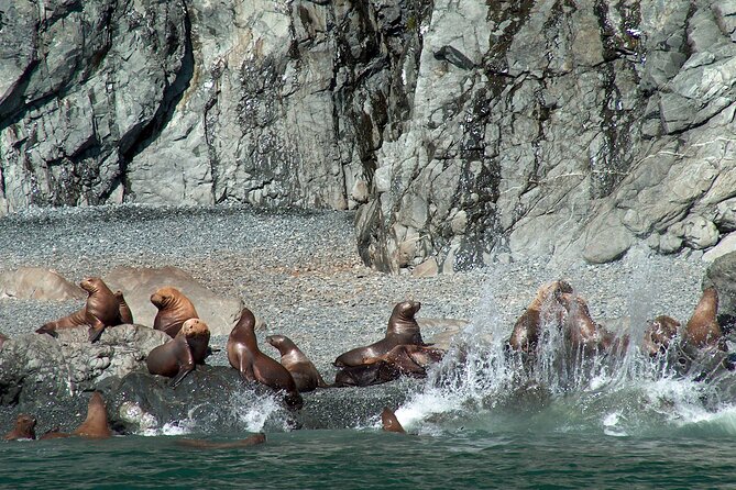 Columbia Glacier Cruise from Valdez - What Makes the Columbia Glacier Cruise Unique in Alaska