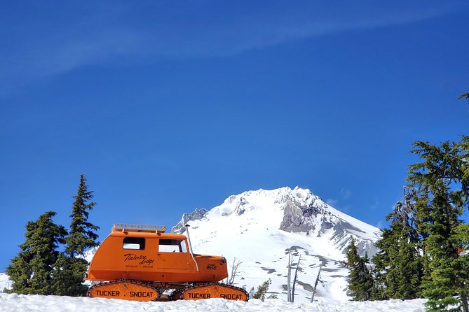 Columbia Gorge Waterfalls and Mt. Hood Tour - Full Day - Shepperds Dell State Natural Area: A Hidden Waterfall