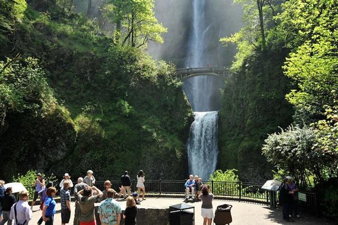 Columbia Gorge Waterfalls & Wineries from Portland: All-Inclusive Afternoon Tour - Scenic Drive Through the Columbia River Gorge