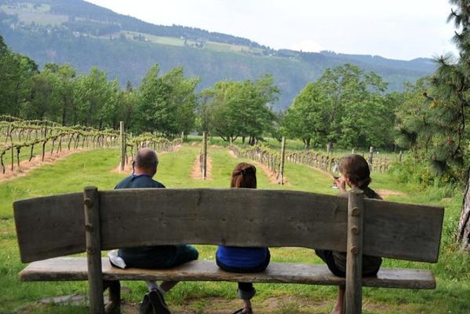 Columbia Gorge Waterfalls & Wineries from Portland: All-Inclusive Afternoon Tour - Comfortable Transportation and Pick-Up Convenience
