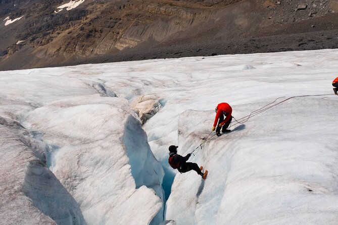Columbia Icefield Adventure,Bow Lake,Peyto Lake in Banff & Jasper - The Icy Majesty of Crowfoot Glacier over Bow Lake
