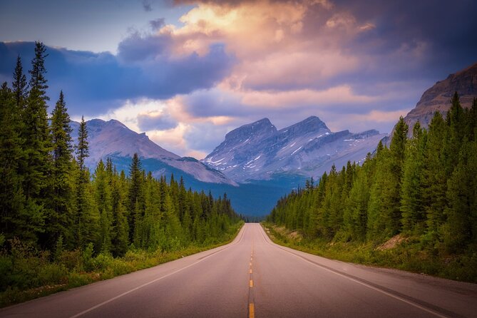 Columbia Icefield Adventure,Bow Lake,Peyto Lake in Banff & Jasper - The Allure of Peyto Lake’s Stunning Blue