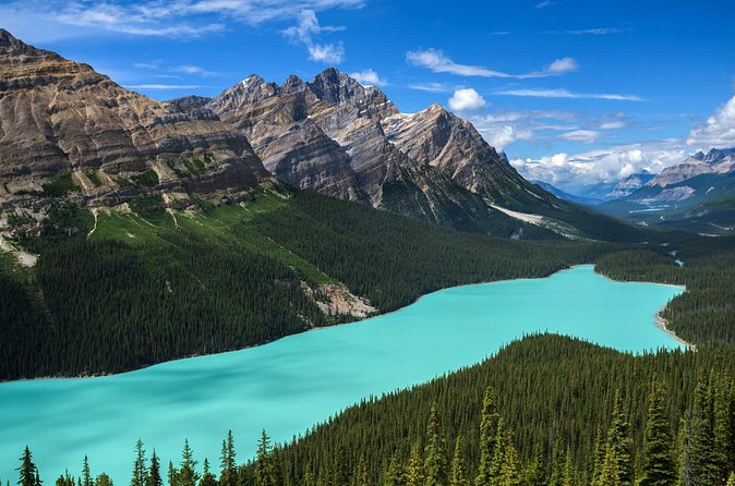 Columbia Icefield Day Tour Ice Explorer and Scenic Views by Coach - Peyto Lake: The Vibrant Wolf’s Head Viewpoint