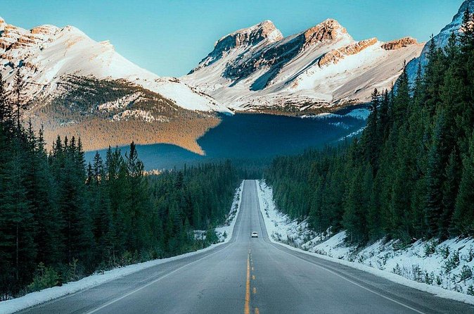 Columbia Icefield Day Tour Ice Explorer and Scenic Views by Coach - The Columbia Icefield: Walking on Ancient Glaciers