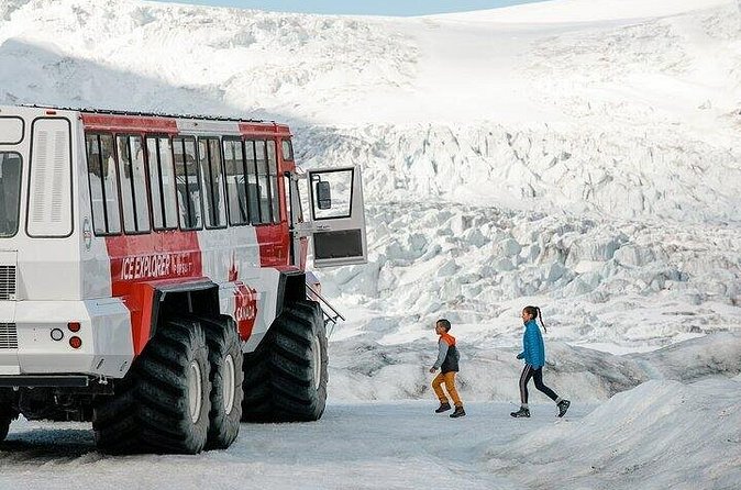 Columbia Icefield, Peyto Lake, Bow Lake from Banff - Transportation, Guides, and Group Size