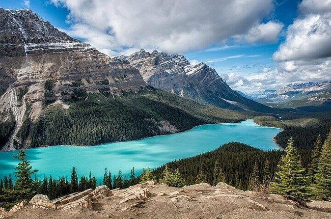 Columbia Icefield, Peyto Lake, Bow Lake from Banff - Booking, Cost, and Extra Expenses