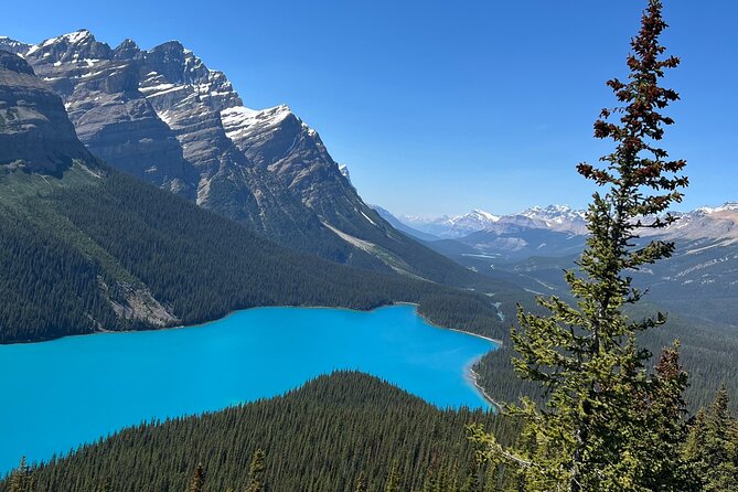Columbia Icefield Peyto Lake Bow Lake from Calgary Canmore Banff - Pacing, Timing, and Flexibility