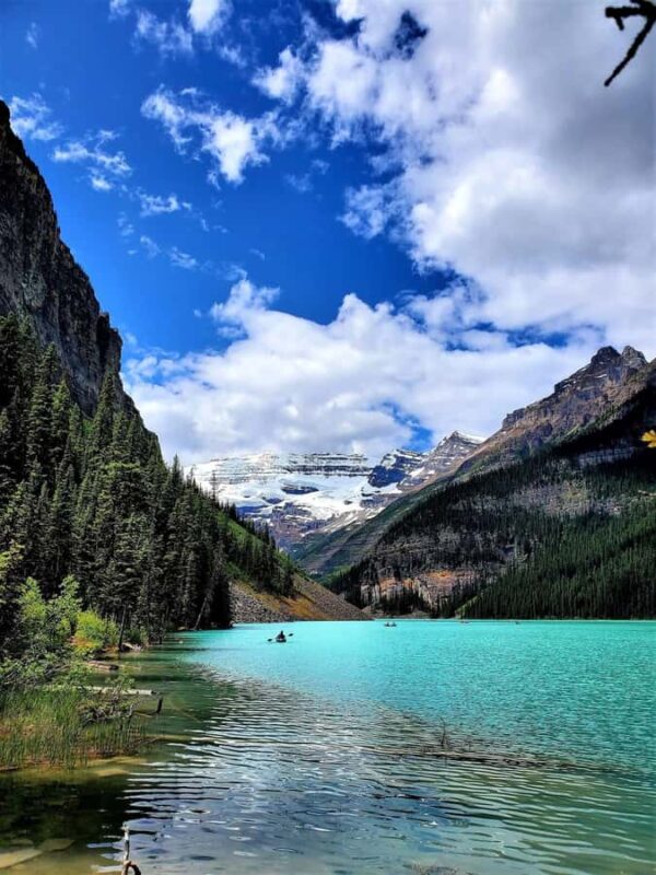 Columbia Icefield, Skywalk, Crowfoot Glacier, and Lakes Tour - Peyto Lake: The Wolf-Head Viewpoint