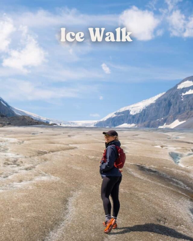 Columbia Icefield, Skywalk, Crowfoot Glacier, and Lakes Tour - Bow Lake and Its Mountain Backdrop