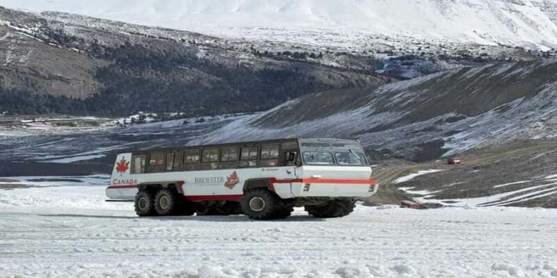 Columbia Icefield, Skywalk, Crowfoot Glacier, and Lakes Tour - The Skywalk Over Sunwapta Valley