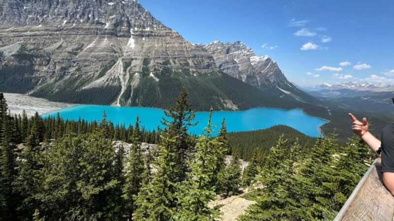 Columbia Icefield, Skywalk, Crowfoot Glacier, and Lakes Tour - The Guide’s Role in Making the Day Special